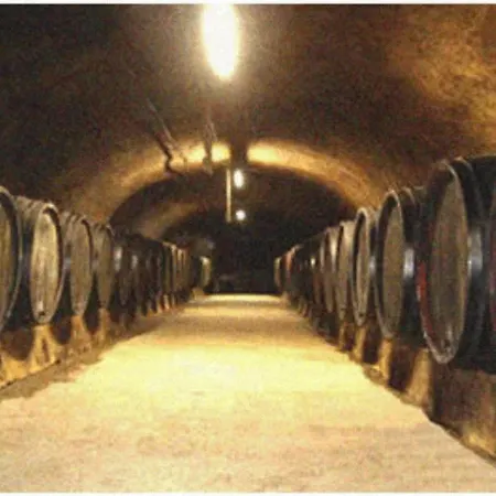 בית כפרי Ferienweingut Peter-jos. Hauth ברנקסטל - קיס