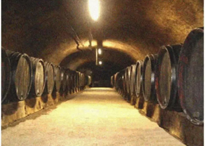 בית כפרי Ferienweingut Peter-jos. Hauth ברנקסטל - קיס